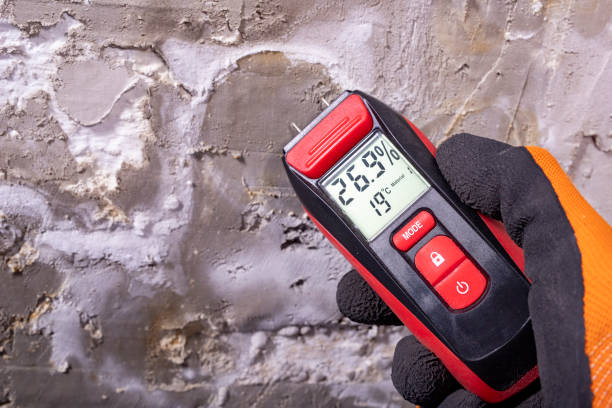 Best Mold Remediation for Specific Building Types in Seattle, WA